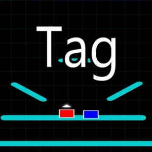 2 Player Tag