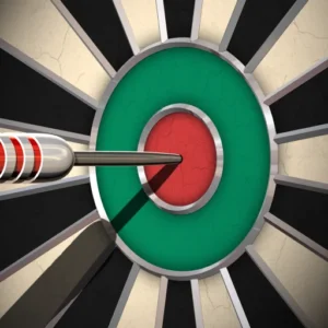 Darts Pro